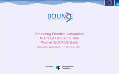 Fourth Dissemination Event of the European Project BOUNCE